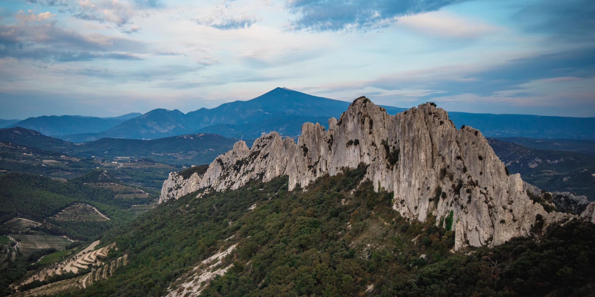 the dentelles de Montmirail